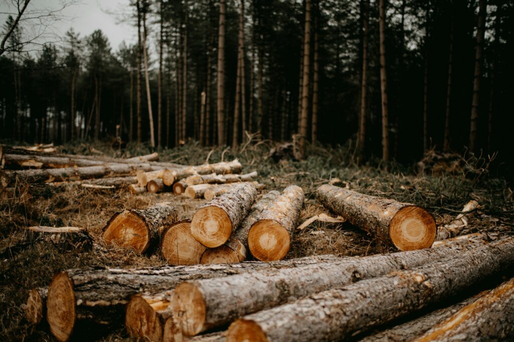 Prefabricated wooden building made from Nordic spruce timber, showcasing quality construction and natural wood grain