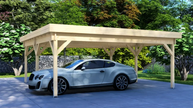Carport Classic Double 6×5 Flat